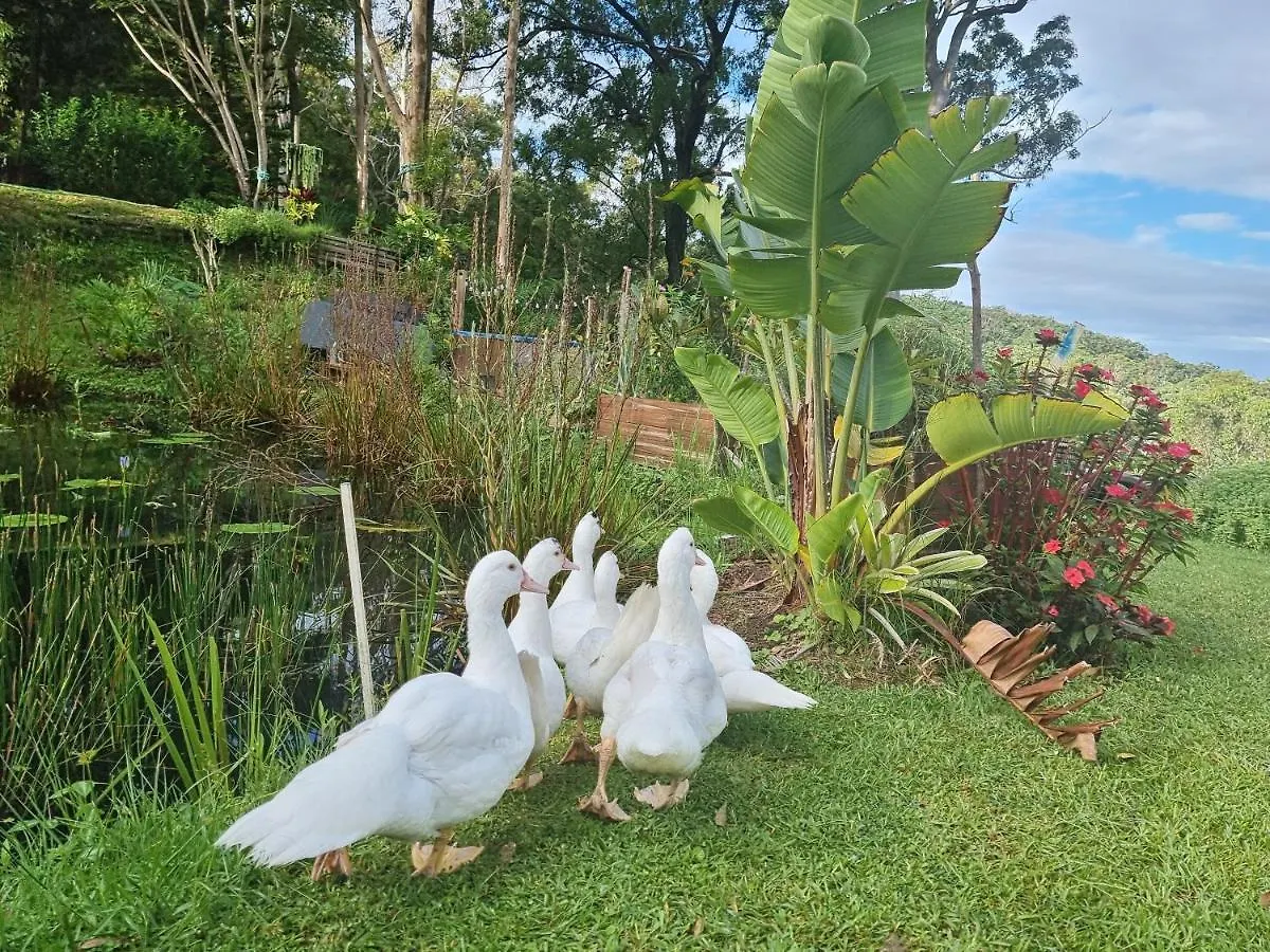The House Of The Rising Sun Holiday home *