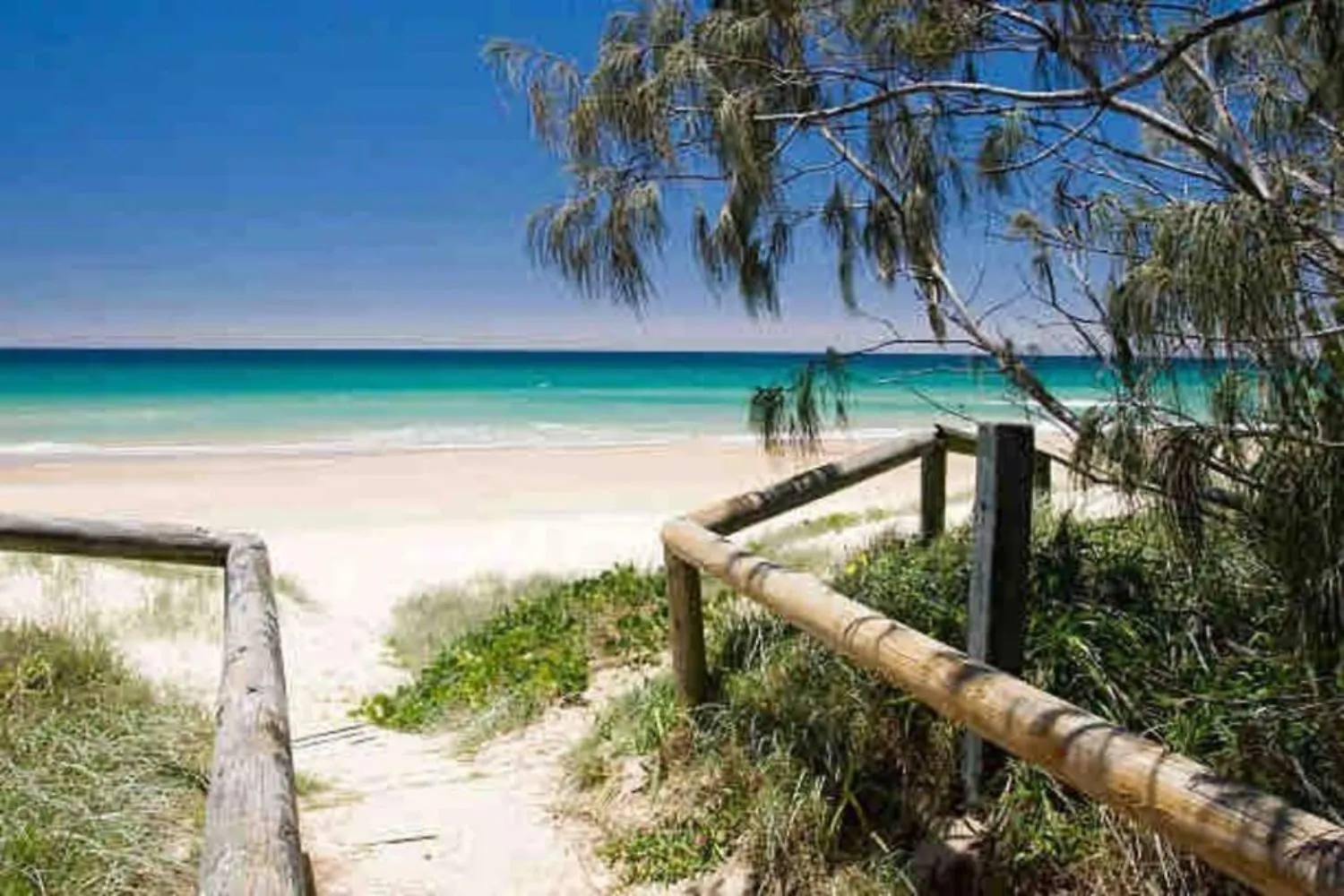 North Burleigh Miami Ocean Escape גולד קוסט