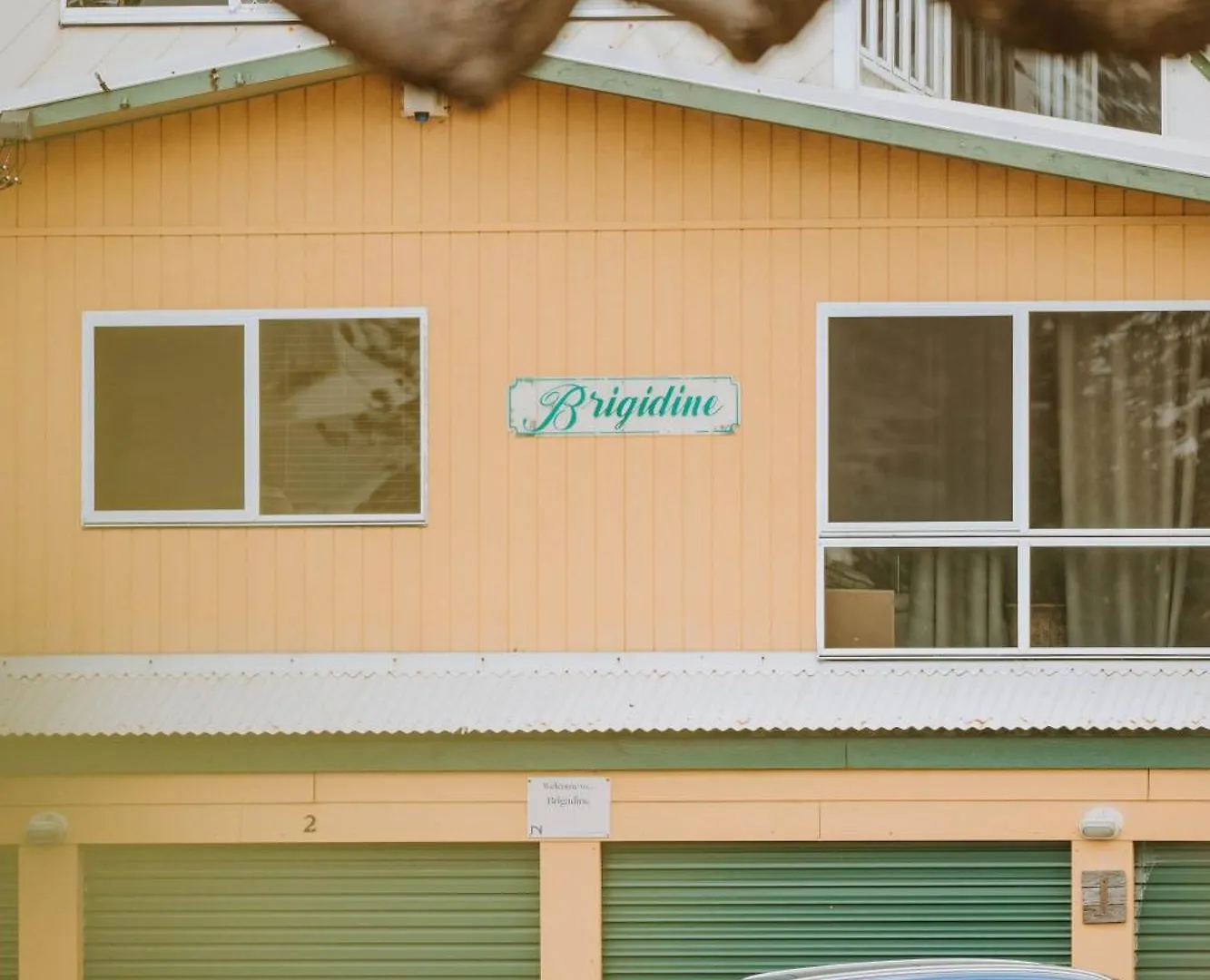 Brigadine Tugun Unit 2 Apartment Gold Coast