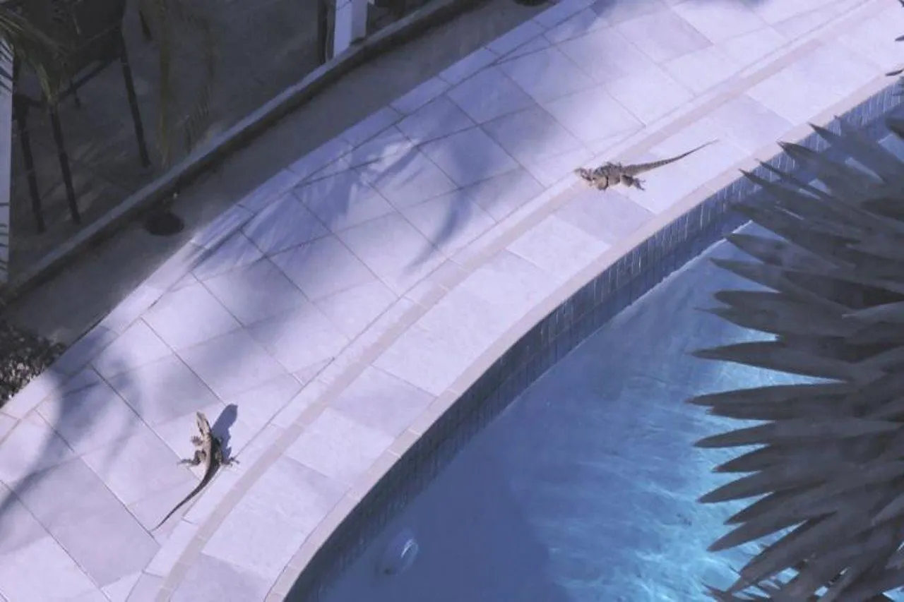 Resort Arc
