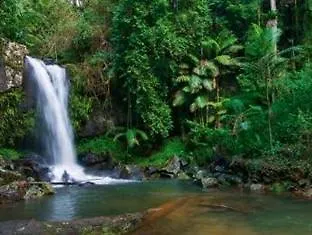 Mt Tamborine Couette-café Brisbane