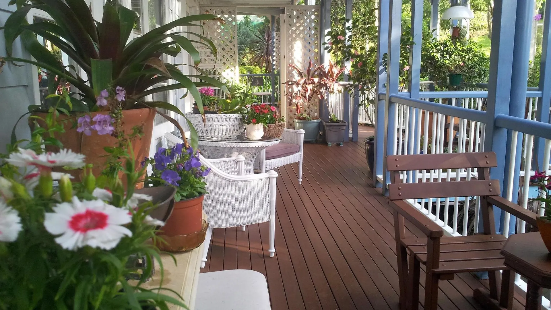 Couette-café Mt Tamborine 4*