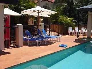 Chevron Palms By Premium