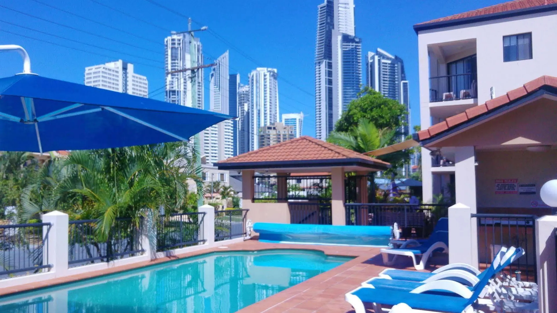 Chevron Palms By Premium