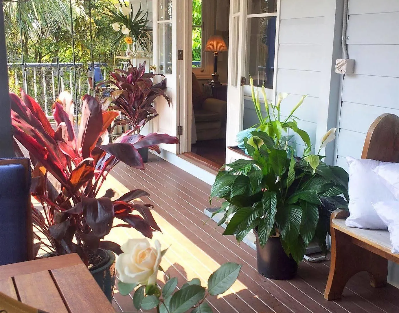 Mt Tamborine Couette-café Brisbane