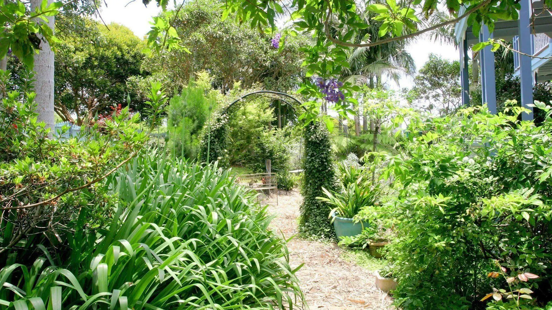 Mt Tamborine Couette-café