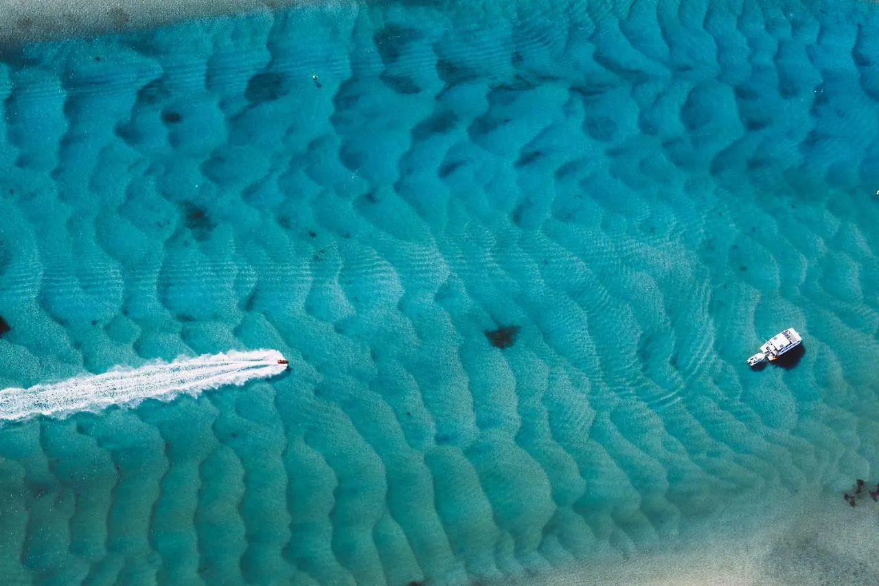 Kirra Surf