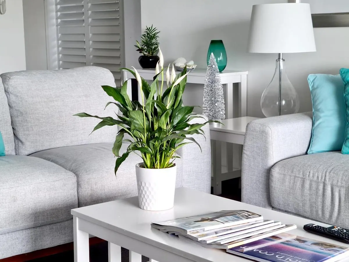 Apartment Sealuxe - Surfers Paradise