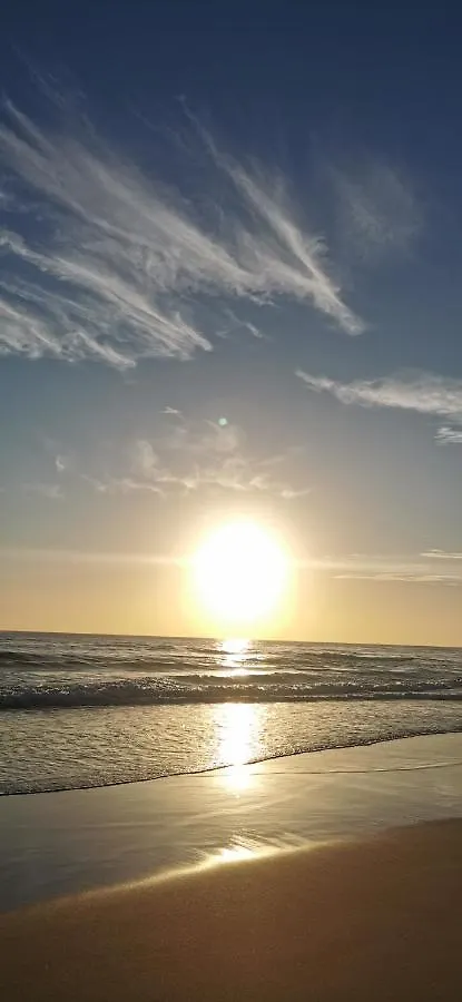 Surfers Hawaiian