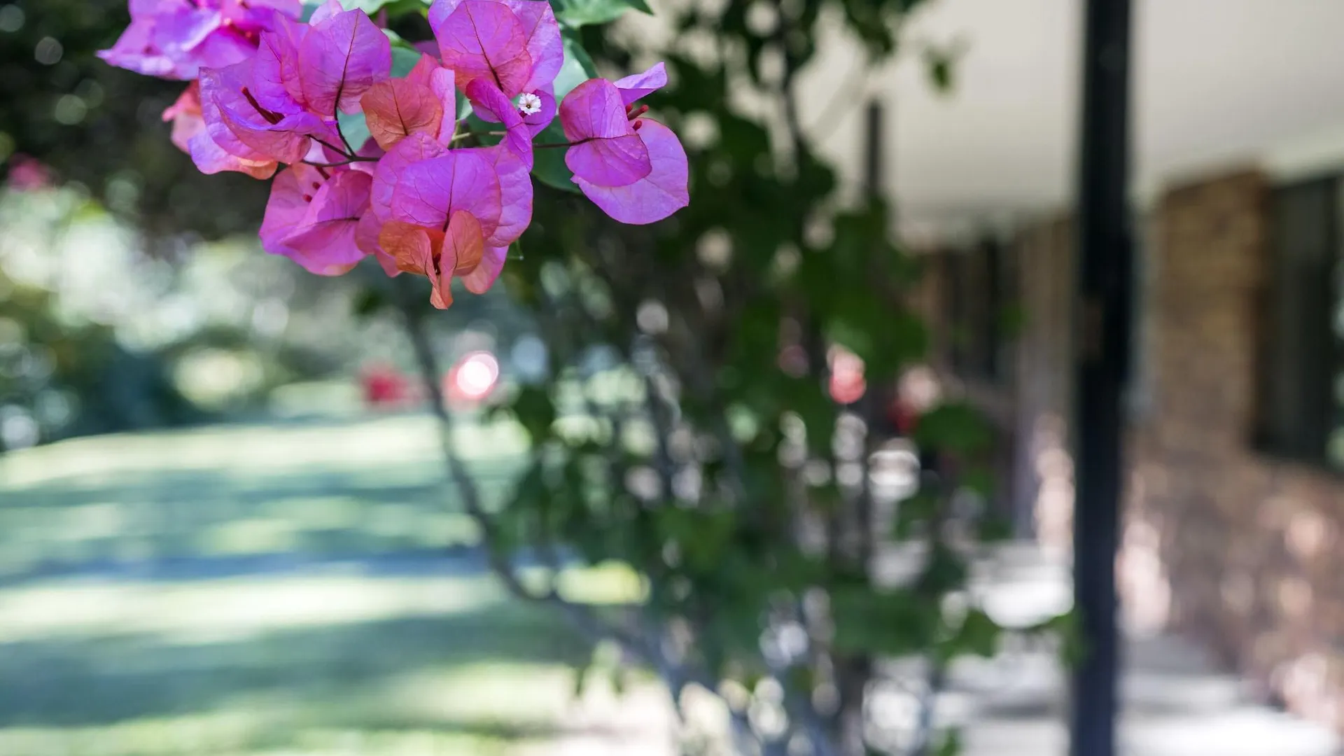Cedar Creek 4* Mount Tamborine