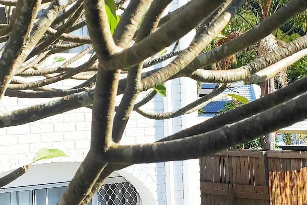 Entire Guest - Is 1 And Half Km - Pets Welcome Guest house *