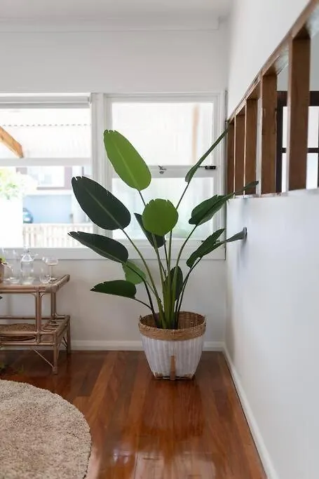Boho Lux Burleigh Appartement Gold Coast
