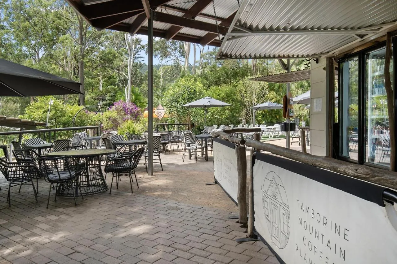 Cedar Creek Mount Tamborine