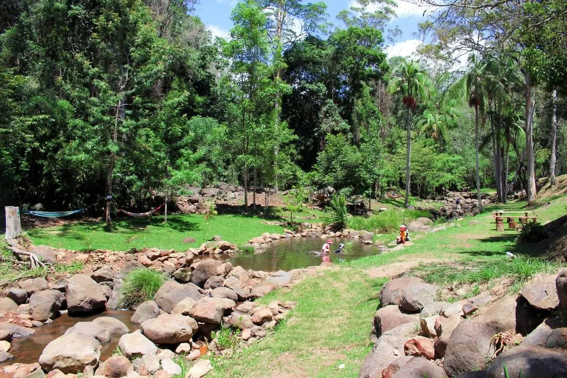 Cedar Creek Mount Tamborine