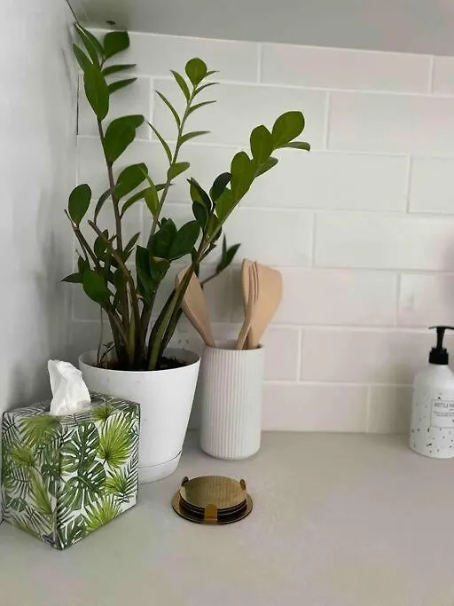 Trickett Street Hideaway Apartment