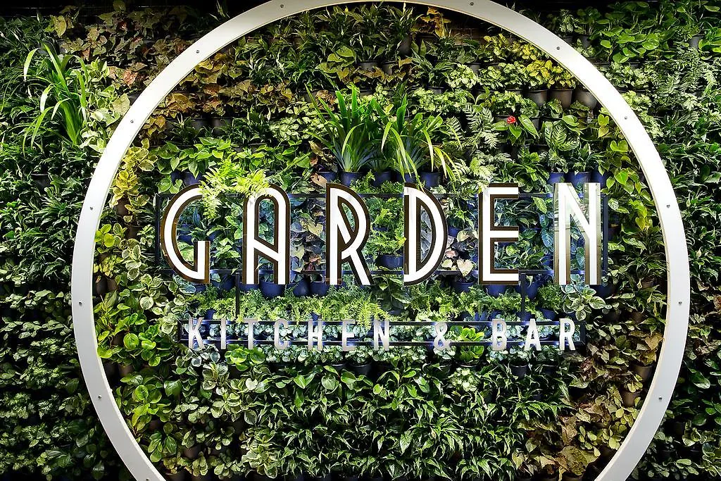 ザ スター グランド アット ザ スター