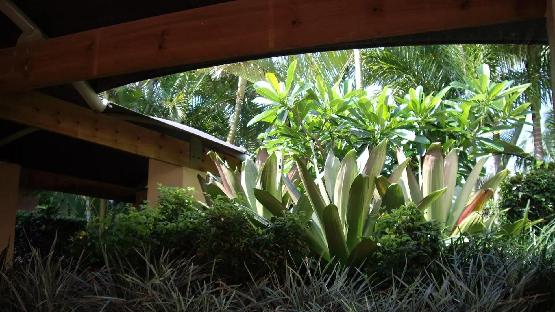 Bila Vista Kirra Beachside 3*