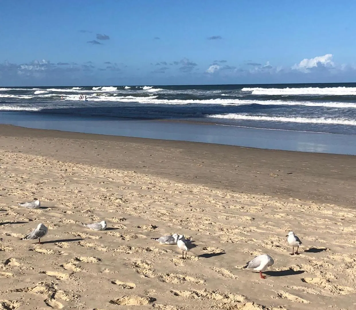 Equinox - Your Front Retreat! Gold Coast
