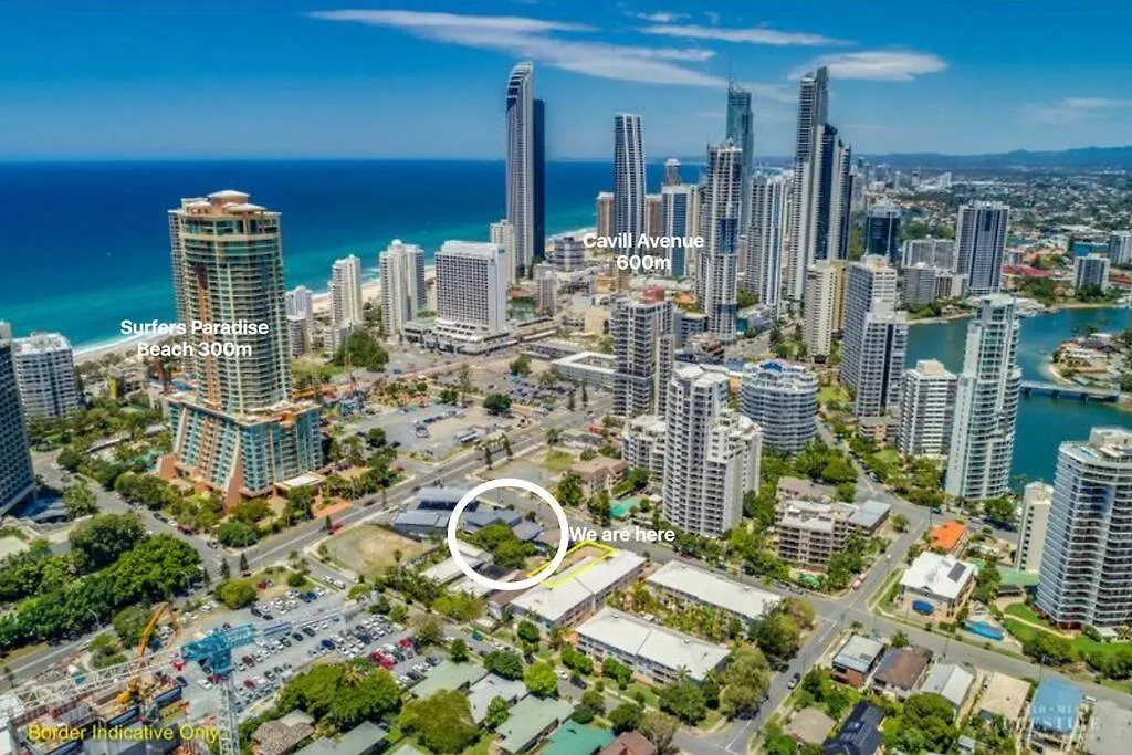 The Palm In Heart Of Surfers Paradise * Gold Coast