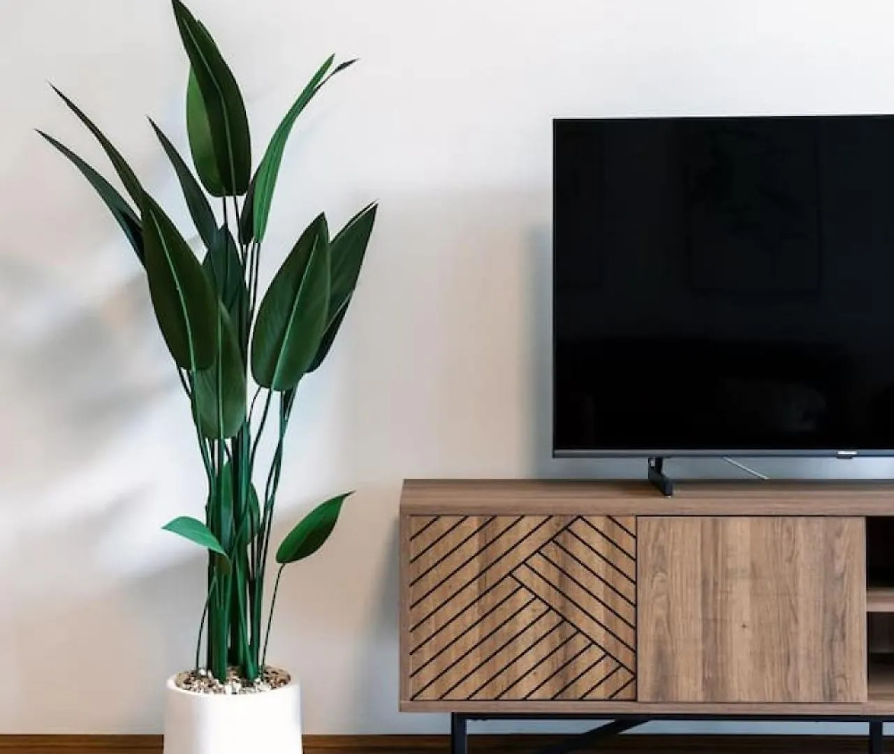Coastal Comfort - Steps From The Gold Coast