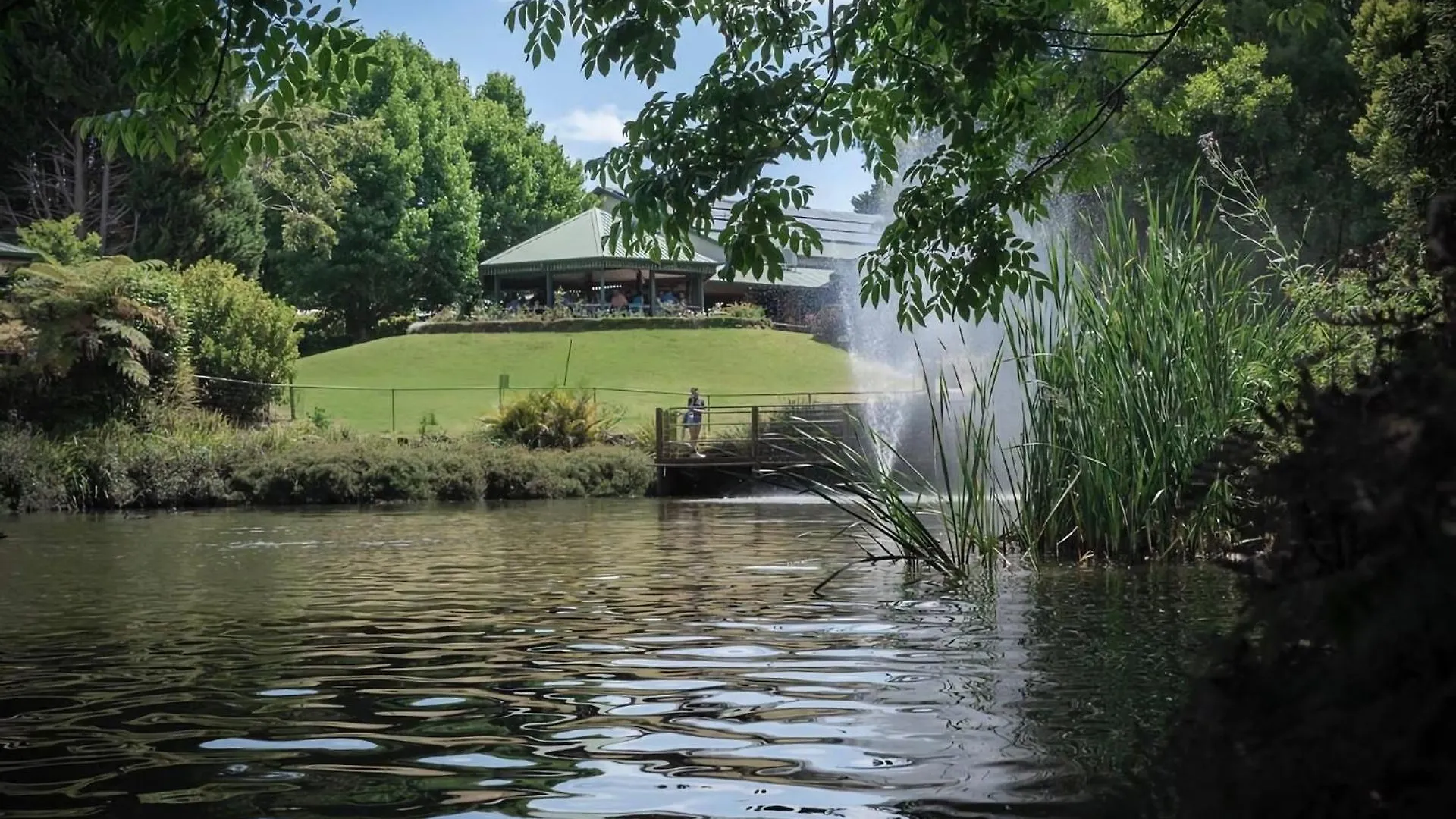 Apartment Serene Mountain Retreat Tamborine Mountain *