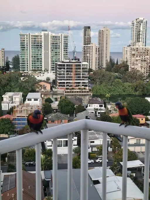Surfers Paradise Penthouse & Rooftop Plunge Pool 펜션 *