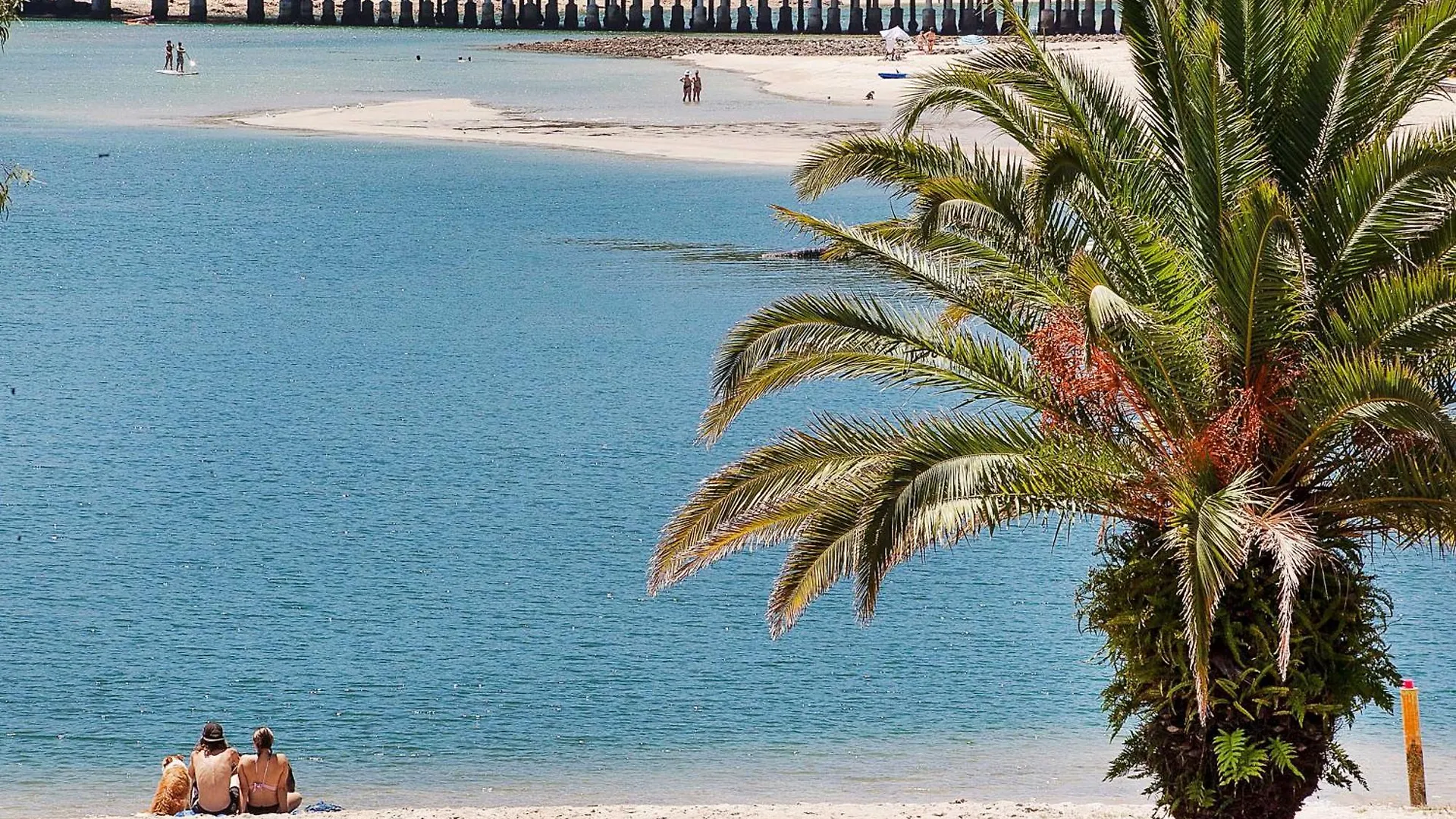 Beachside Palm Luxury - 2 Bedroom