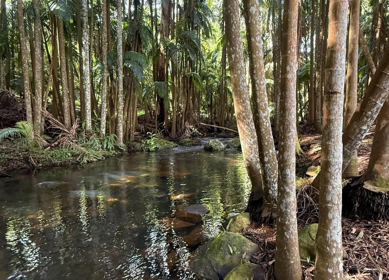 Mt Tamborine Stonehaven Manor 4* Gold Coast