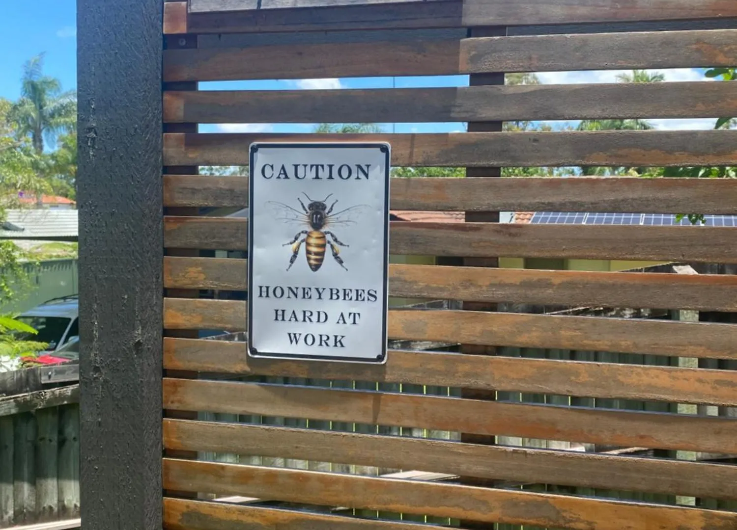 Bee Gold Coast