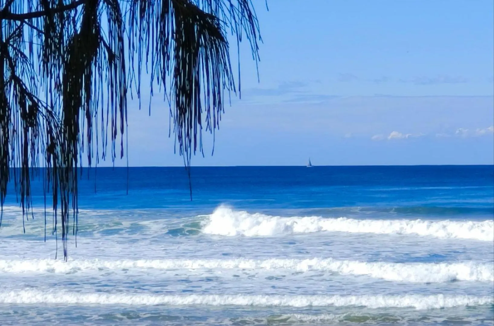 Luxury Escape! Amazing Ocean View Location Get To Everything דירה *