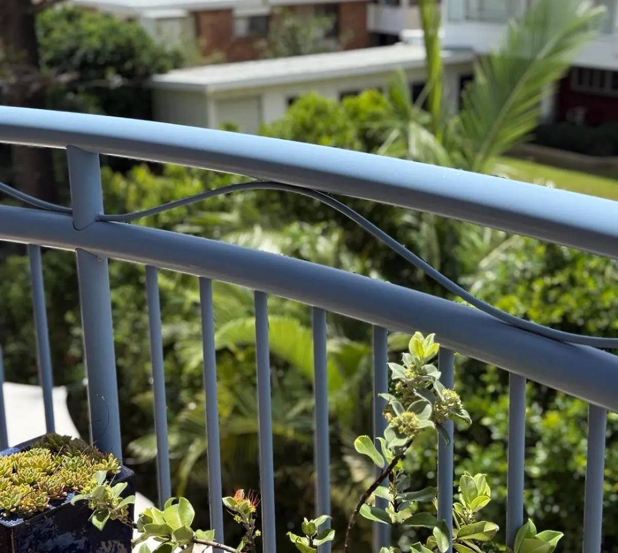 Seascape Ocean View Serenity Gold Coast