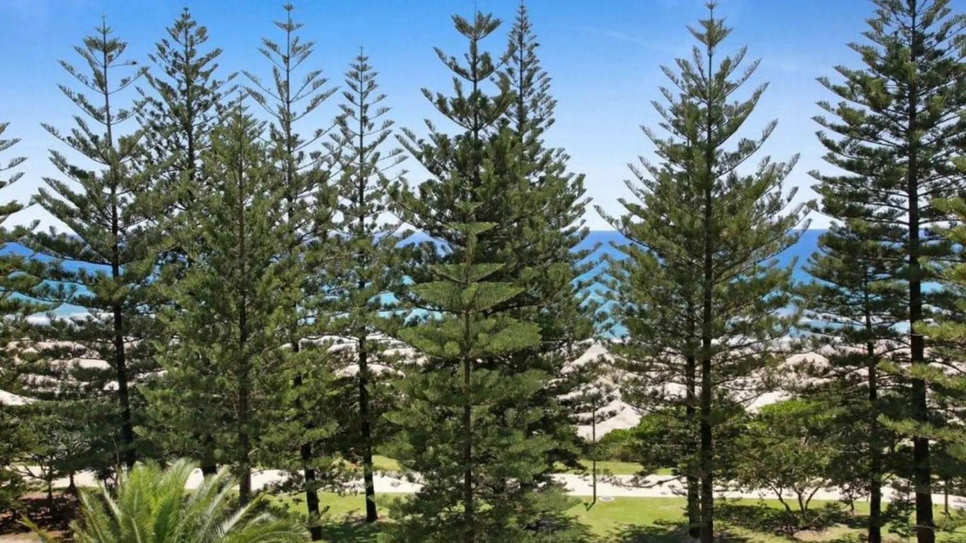 Ocean Front Breeze At Cashelmara Διαμέρισμα *