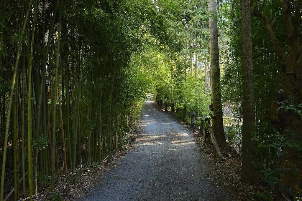Escarpment Retreat & Day For Couples Bed & Breakfast Mount Tamborine