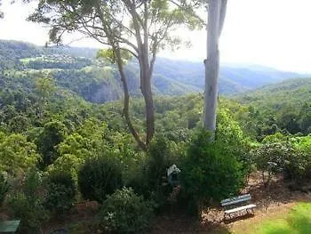 The Tamborine - Boutique