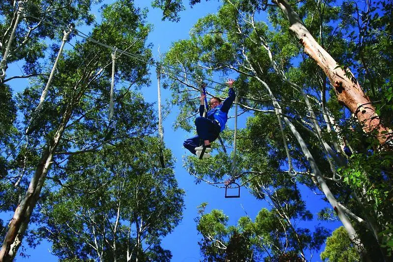 Cedar Creek 4* Mount Tamborine