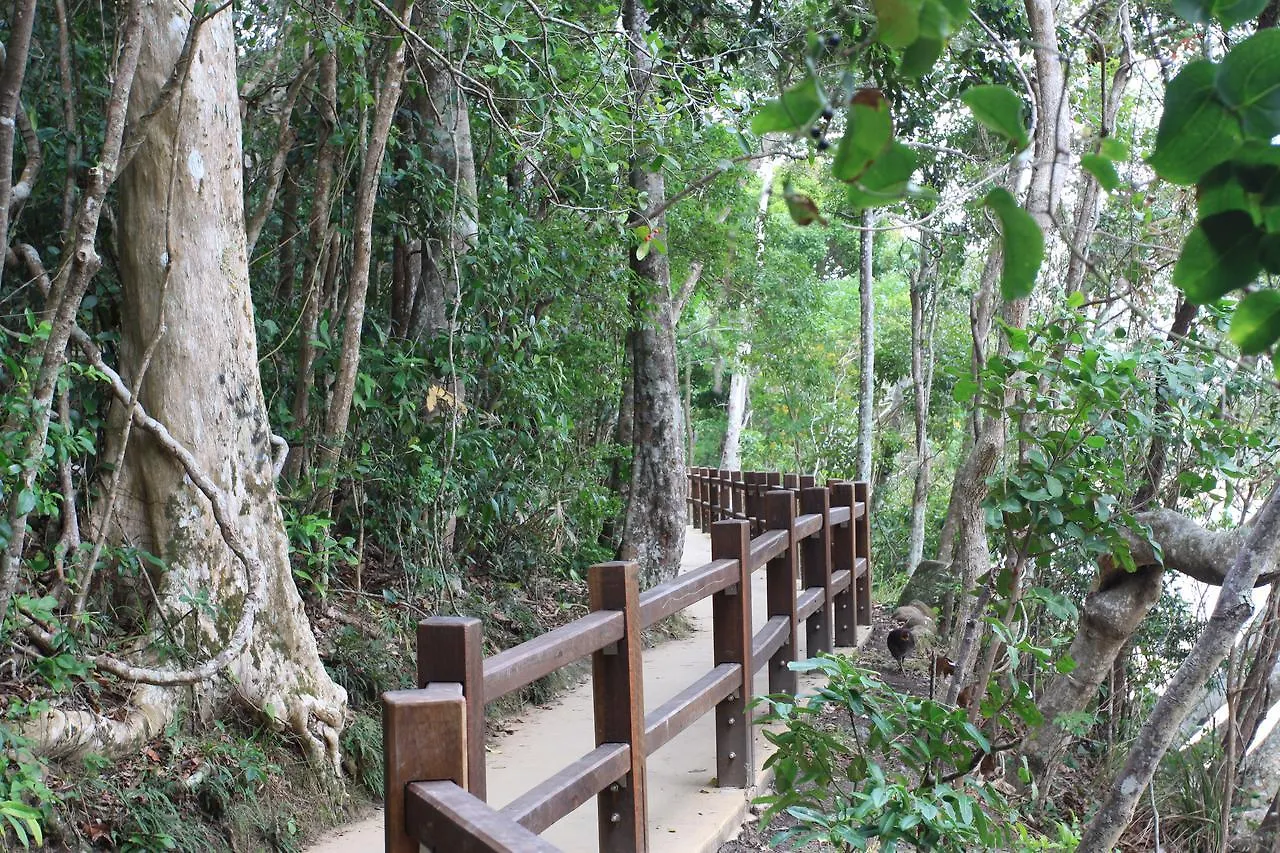 Lägenhet Koala Cove *