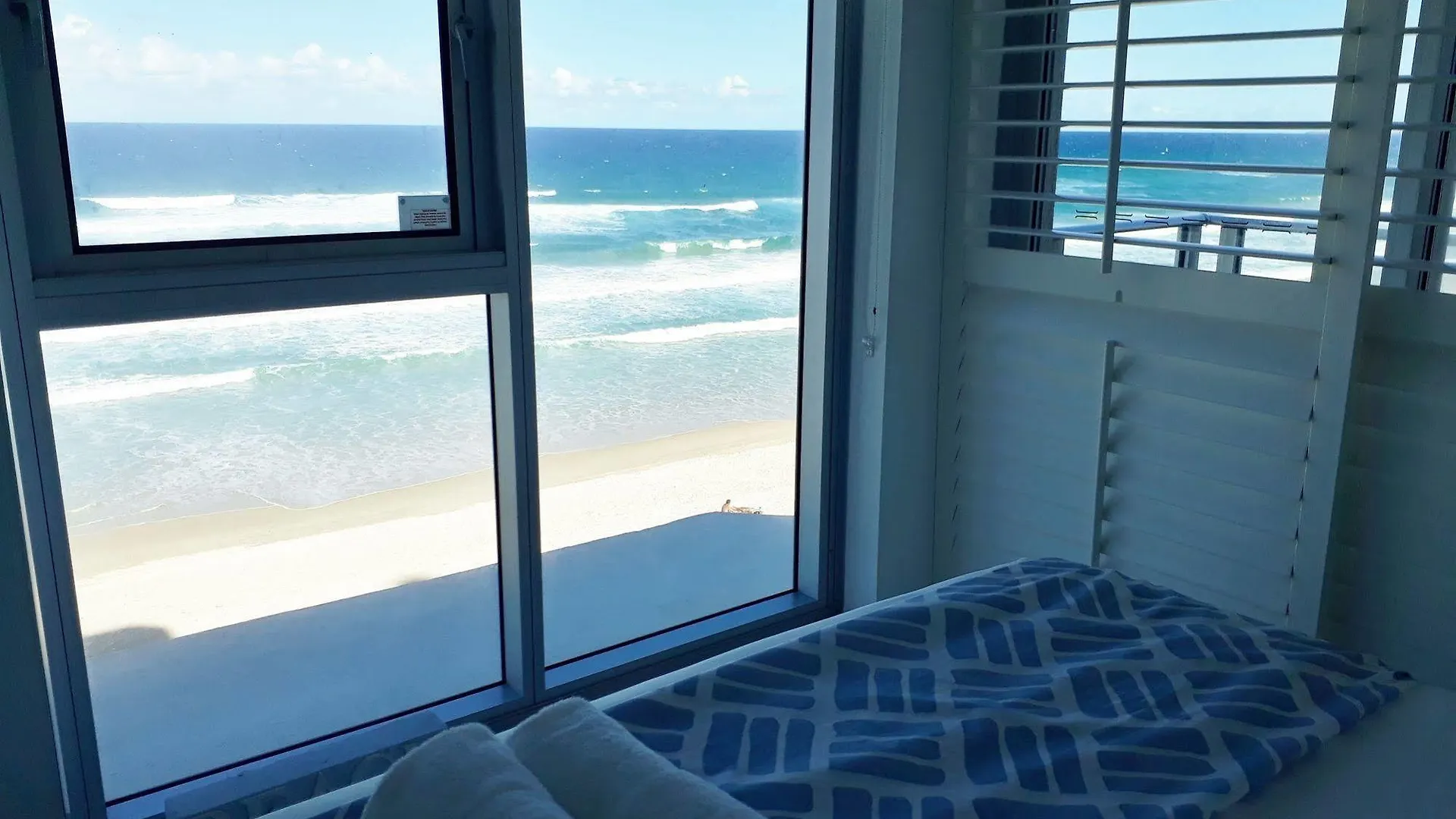 Hibiscus On The Gold Coast