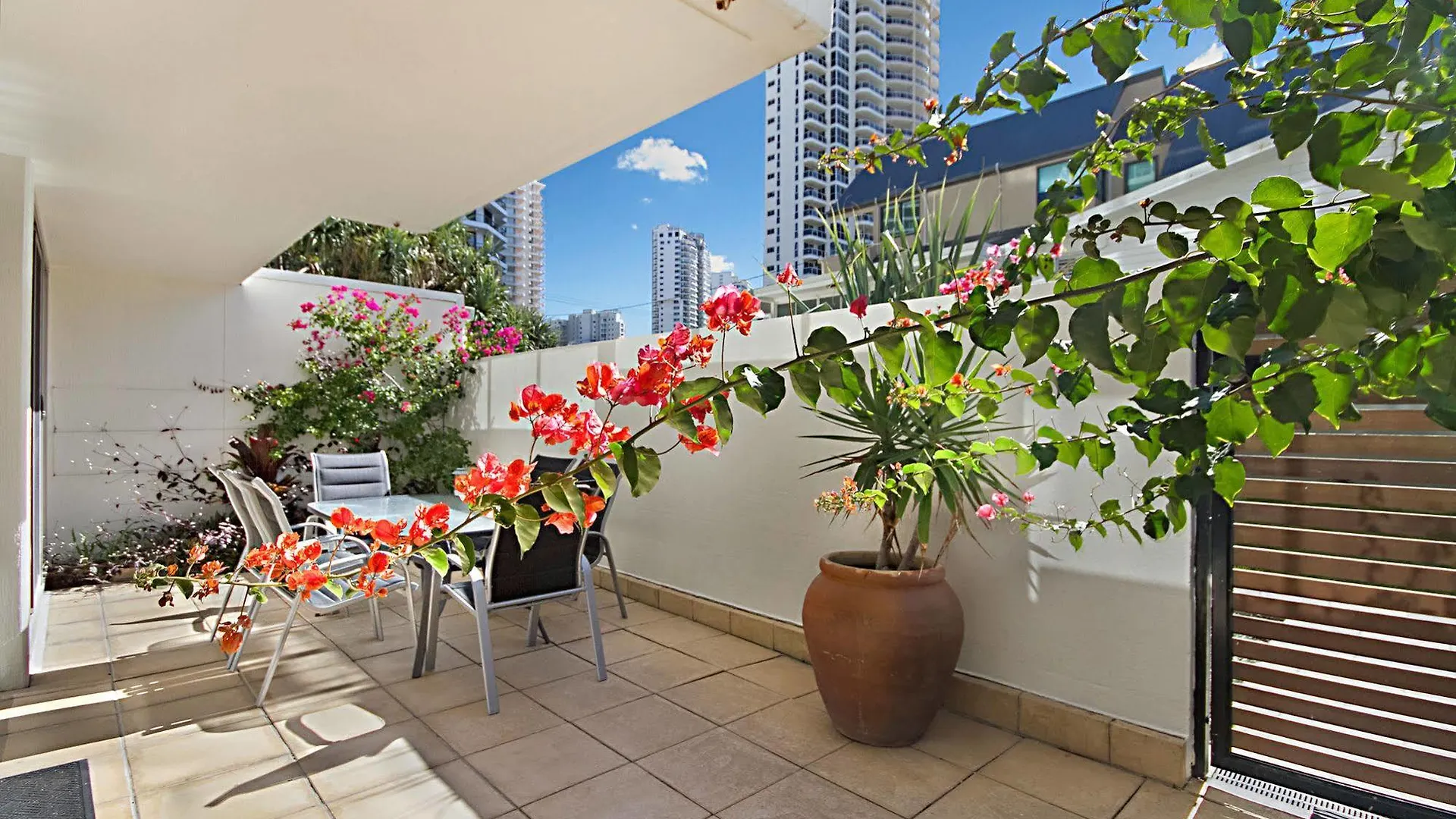 Hibiscus On The