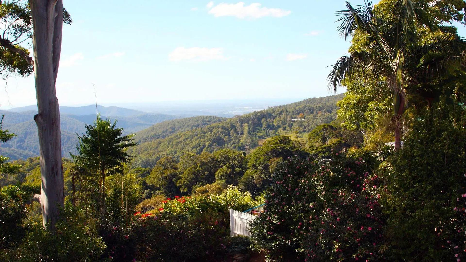 The Tamborine - Boutique Motel Mount Tamborine