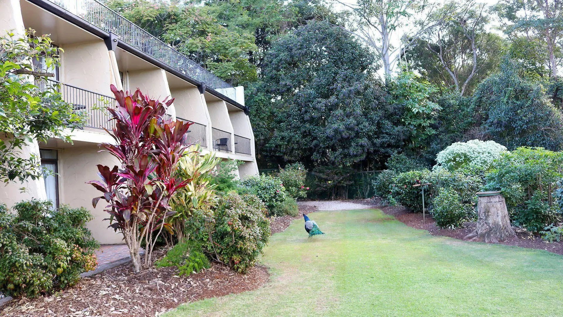 The Tamborine - Boutique
