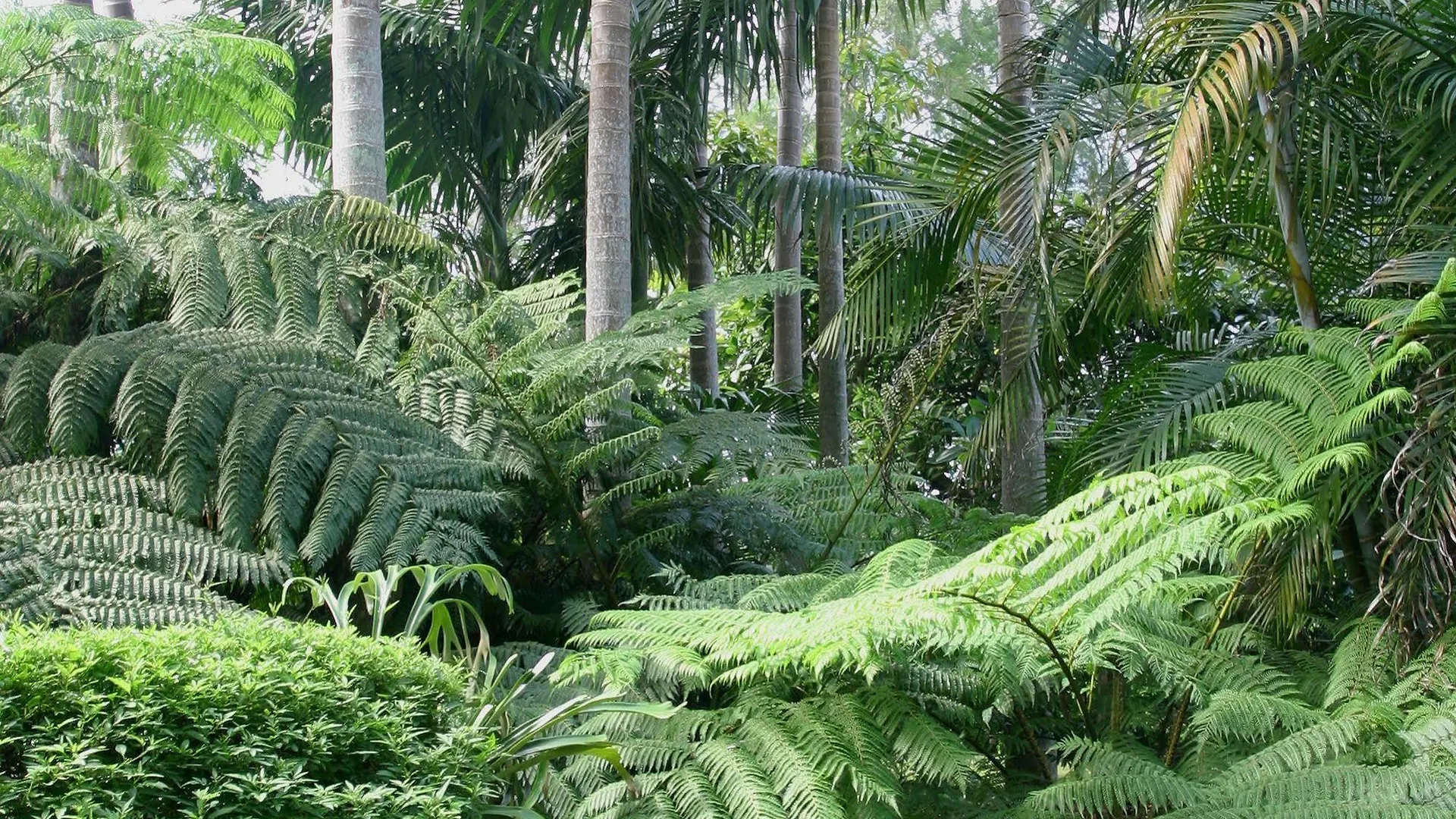 Mt Tamborine Bed & Breakfast 4*