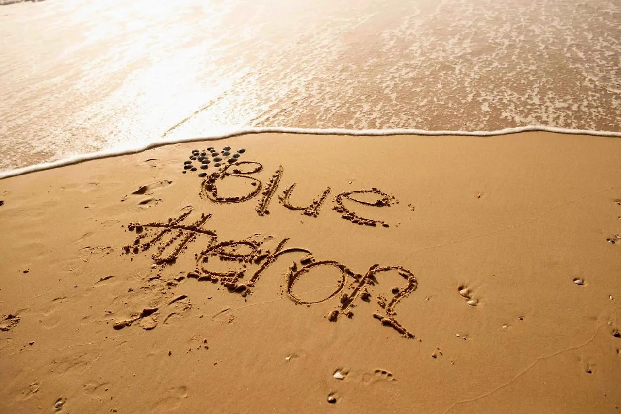 Blue Heron Boutique Motel Gold Coast