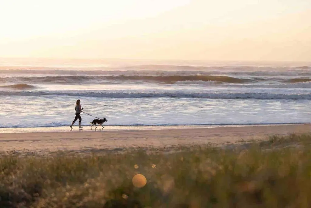 Villa Casa Maya Nobby's Beach Gold Coast