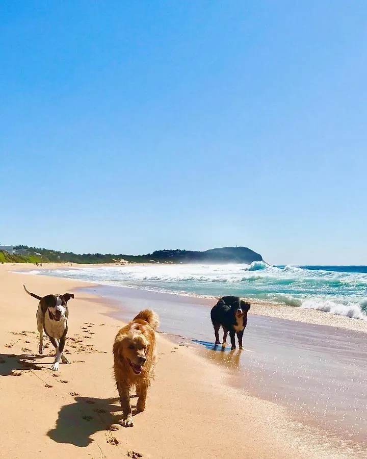 Διαμέρισμα Surf Shack In Iconic Rainbow Bay - Coolangatta Qld Χρυσή Ακτή