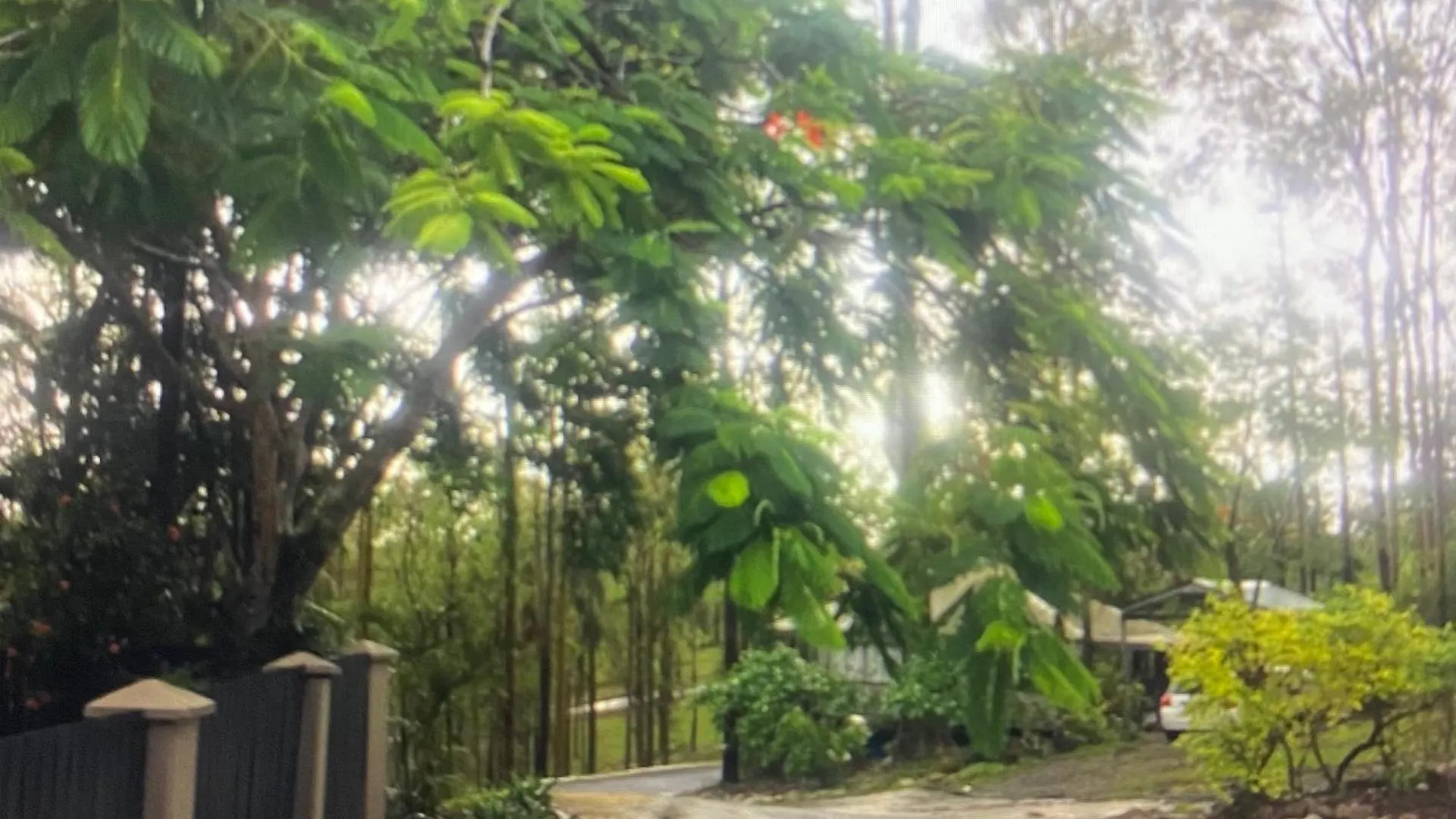 Amongst The Gum Trees Holiday home Gold Coast