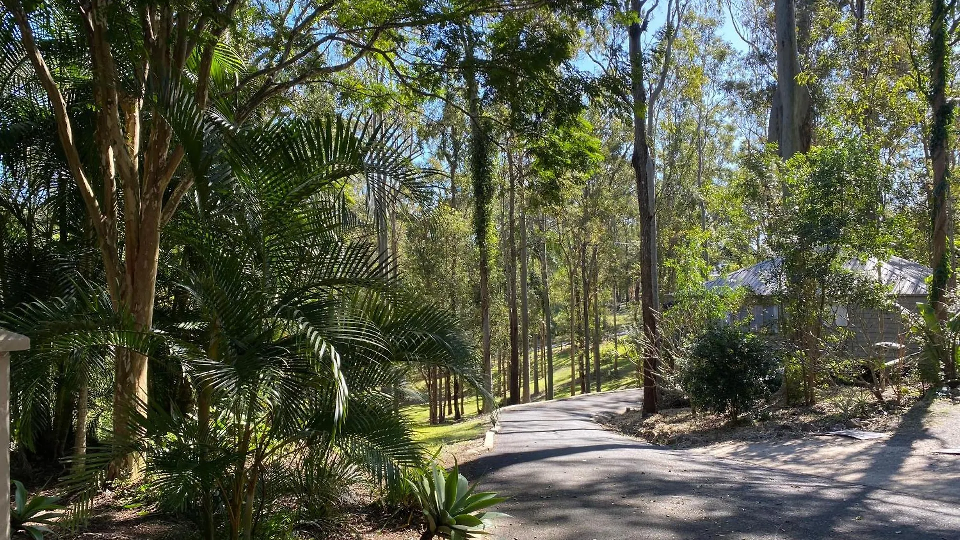 Amongst The Gum Trees Gold Coast