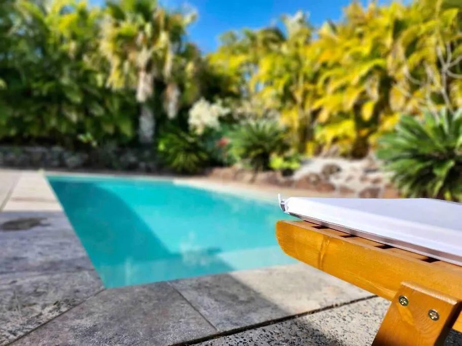 Oasis By The Pool, Thrilling Themeparks.