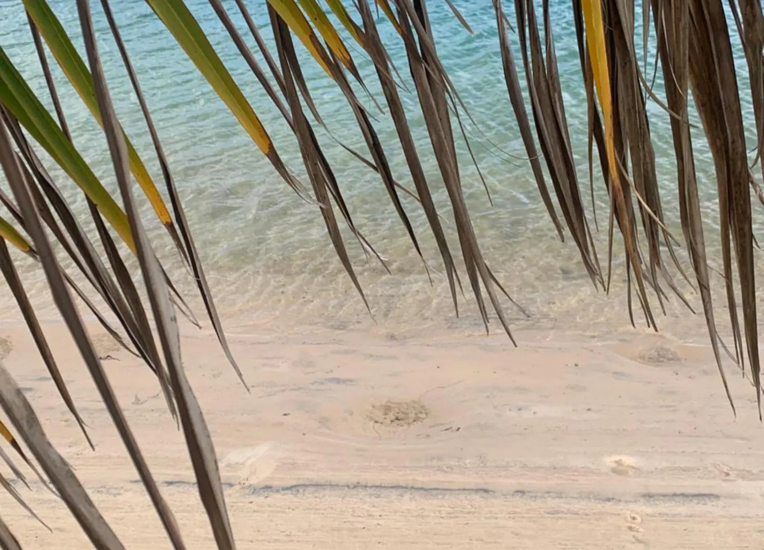 펜션 Sandy Toes & Sunsets On The Creek In Palm Beach, Qld! 골드코스트