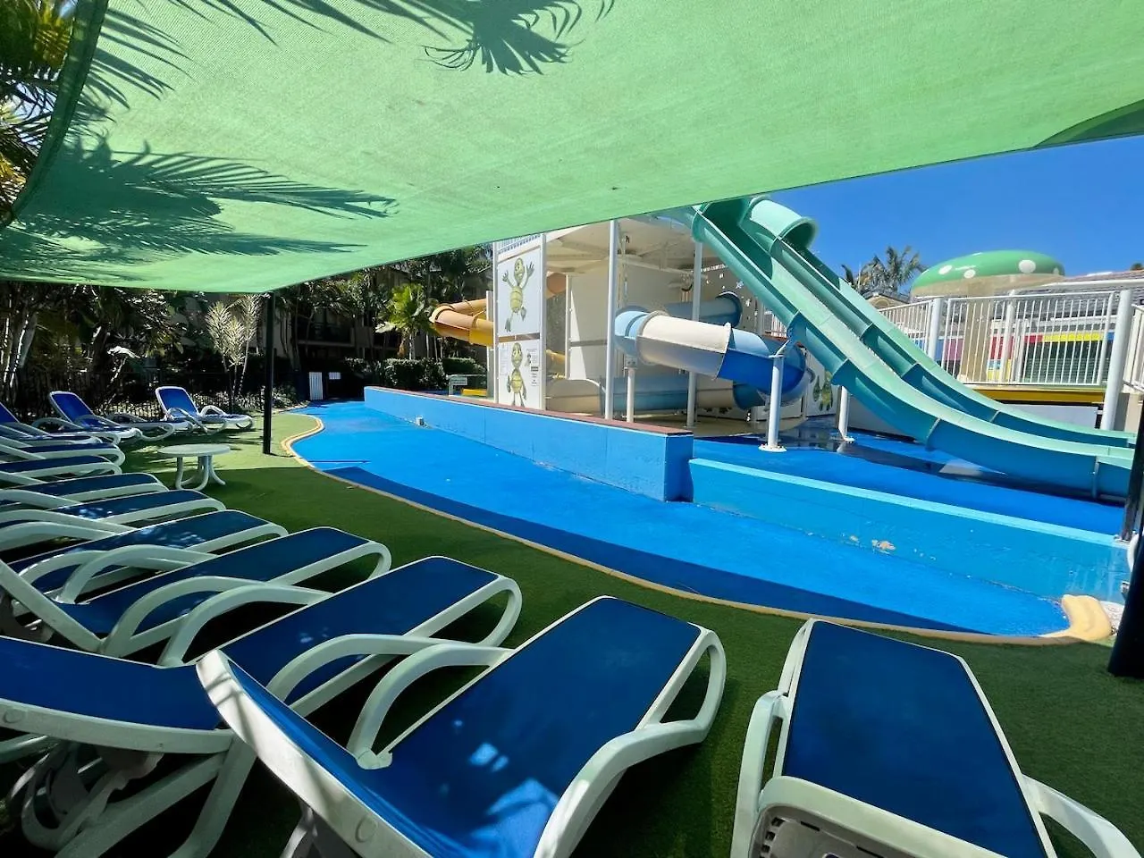 Turtle 233 Gold Coast