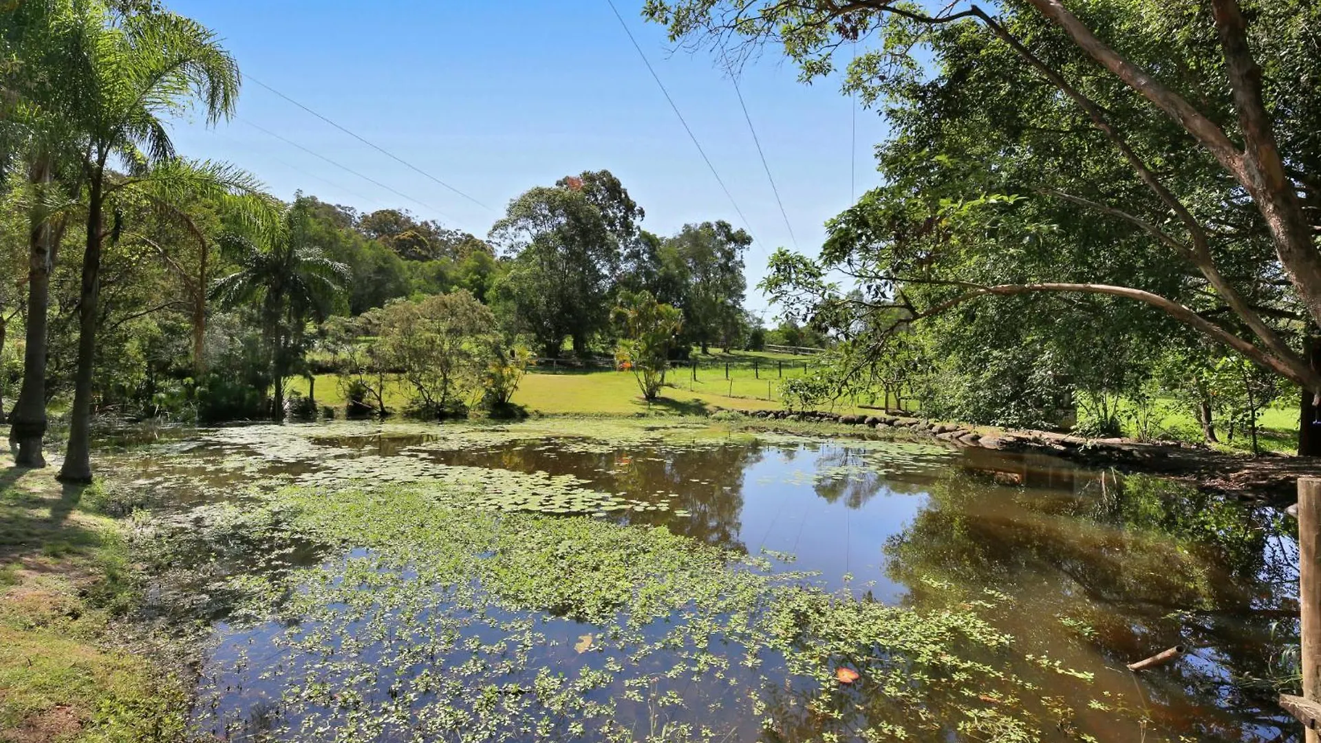 Spacious 4-bed Hinterland Luxury Escape With Pool